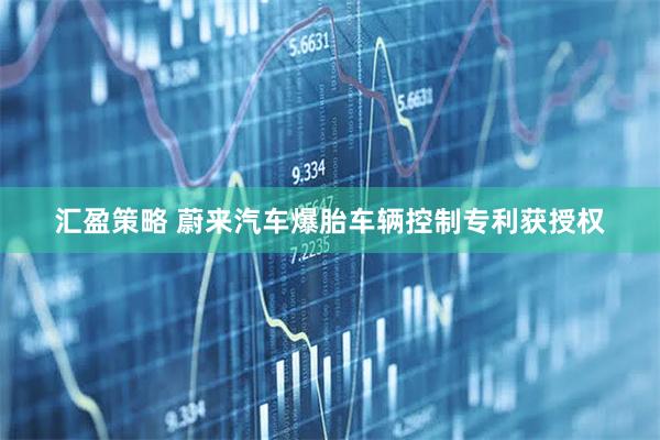 汇盈策略 蔚来汽车爆胎车辆控制专利获授权