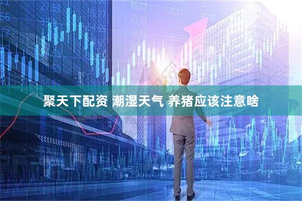 聚天下配资 潮湿天气 养猪应该注意啥