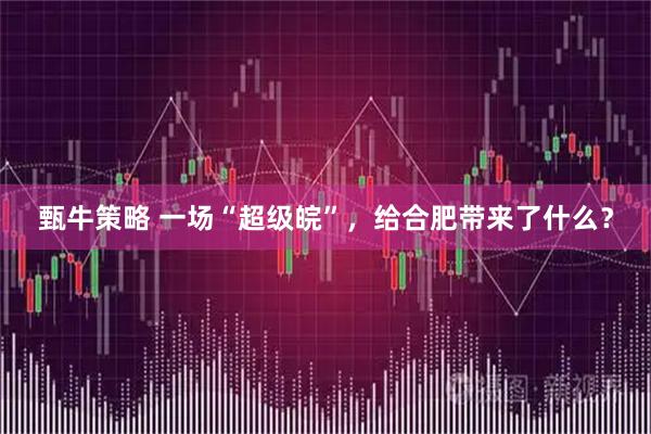 甄牛策略 一场“超级皖”，给合肥带来了什么？